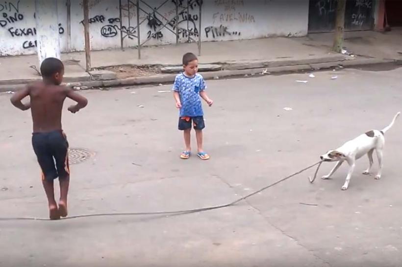 VIDEO - De ce un copil poate fi înlocuit cu un câine