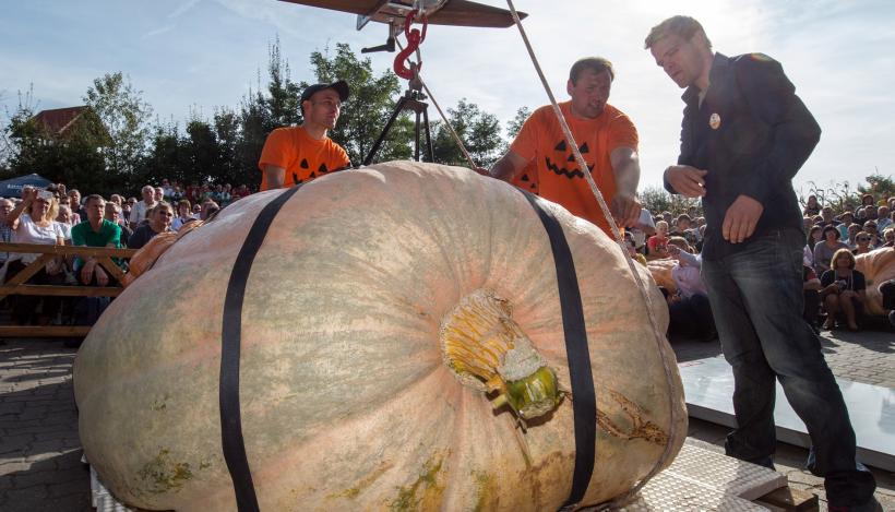 Un dovleac de 750 de kg a câştigat un concurs de bostani din Elveţia