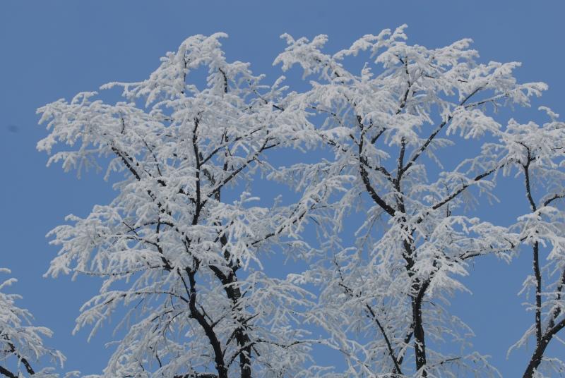 Prognoza METEO pentru 10 și 11 octombrie. Cod galben de ploi şi ninsori