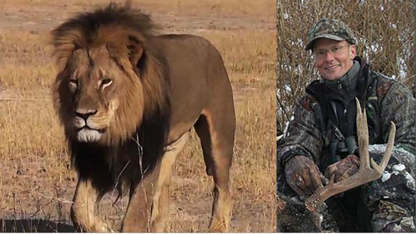 Dentistul care l-a ucis pe leul Cecil nu va fi judecat în Zimbabwe 