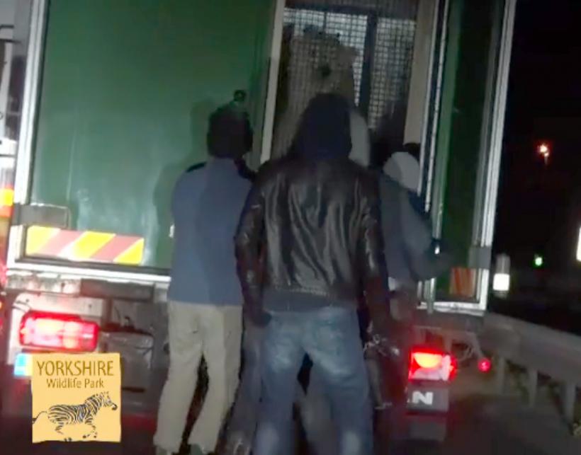 VIDEO - În ce fel de camion s-au urcat câţiva imigranţi pentru a ajunge în Marea Britanie