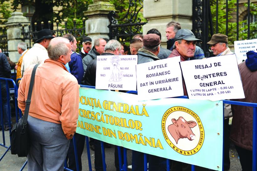  Protest sub geamul ministrului Constantin