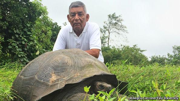 A fost identificată o nouă specie de broască ţestoasă gigant în Insulele Galapagos