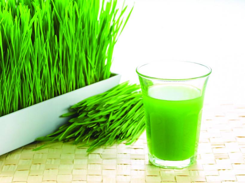 Cum se consumă sucul de iarbă de grâu, vedeta curelor de detoxifiere