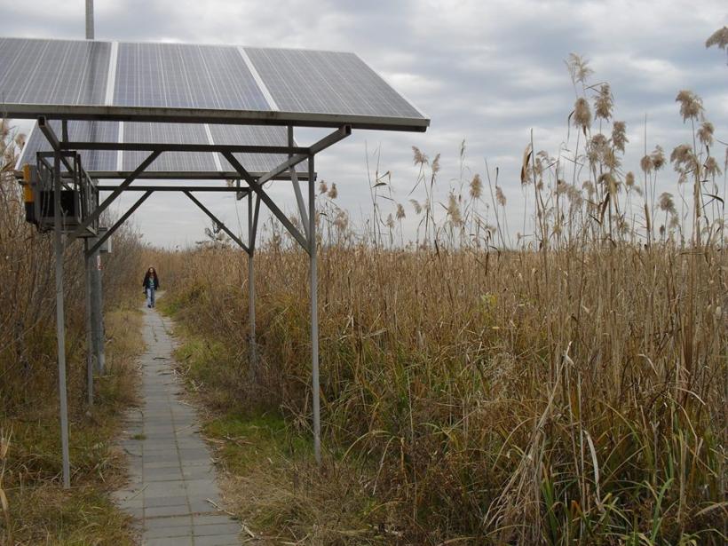 Delta de lângă Bucureşti, la Comana 18521162