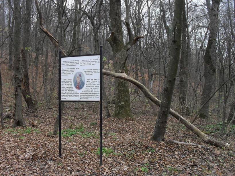 Delta de lângă Bucureşti, la Comana 18521164