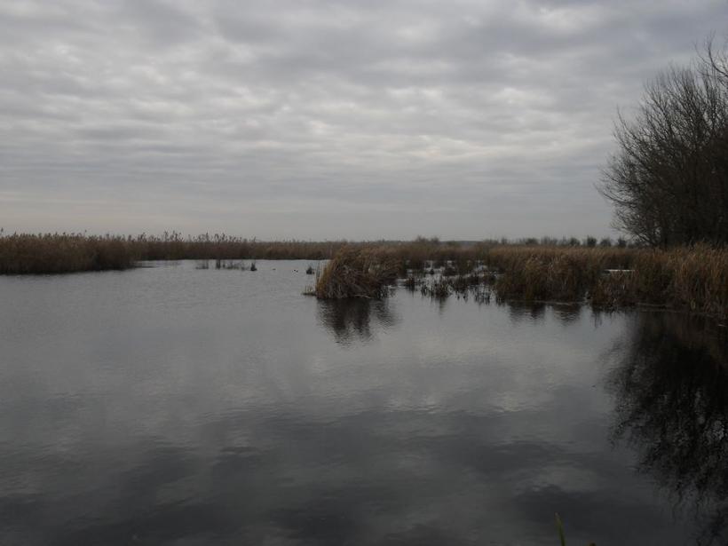 Delta de lângă Bucureşti, la Comana 18521165