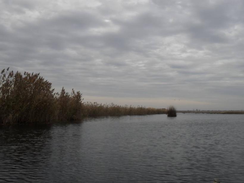 Delta de lângă Bucureşti, la Comana 18521166