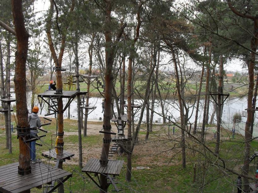 Delta de lângă Bucureşti, la Comana 18521169