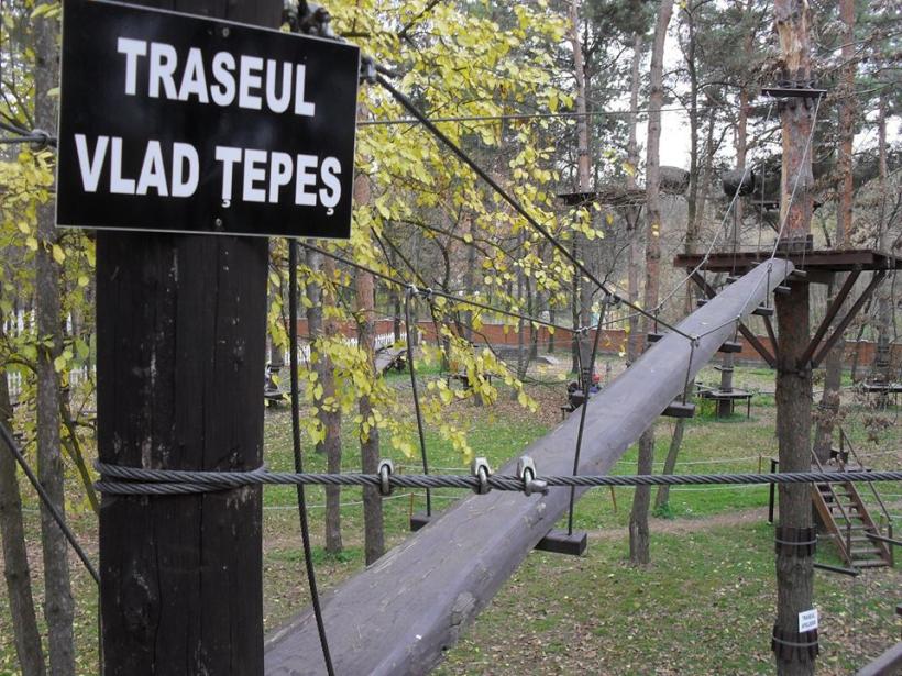 Delta de lângă Bucureşti, la Comana 18521170