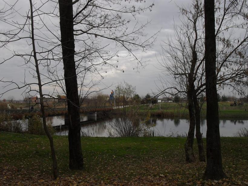 Delta de lângă Bucureşti, la Comana 18521171