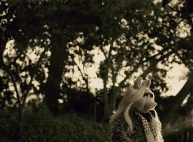 VIDEO - Muppets parodiază hit-ul Hello al cântăreţei britanice Adele