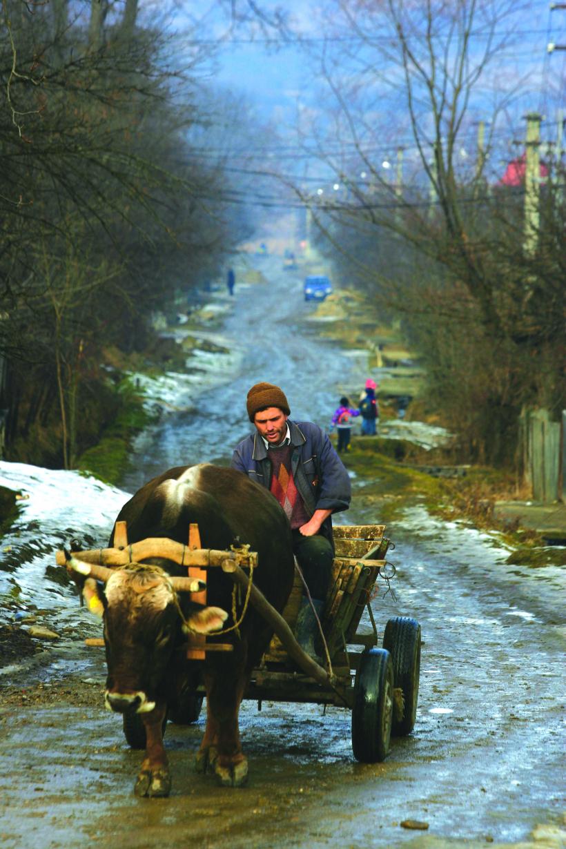 Scufundat în sărăcie, satul românesc dispare treptat