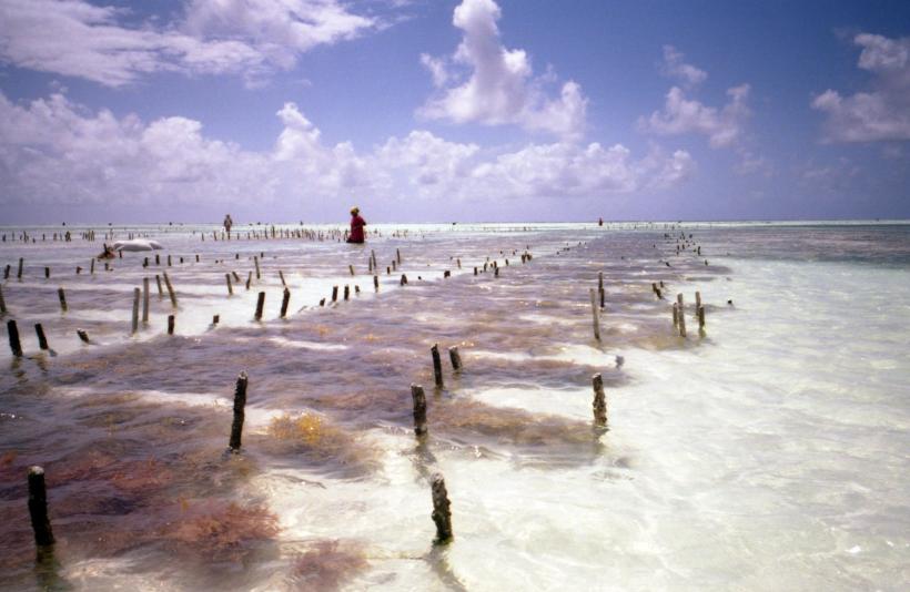 Top 3 cele mai frumoase plaje exotice din lume 18523456