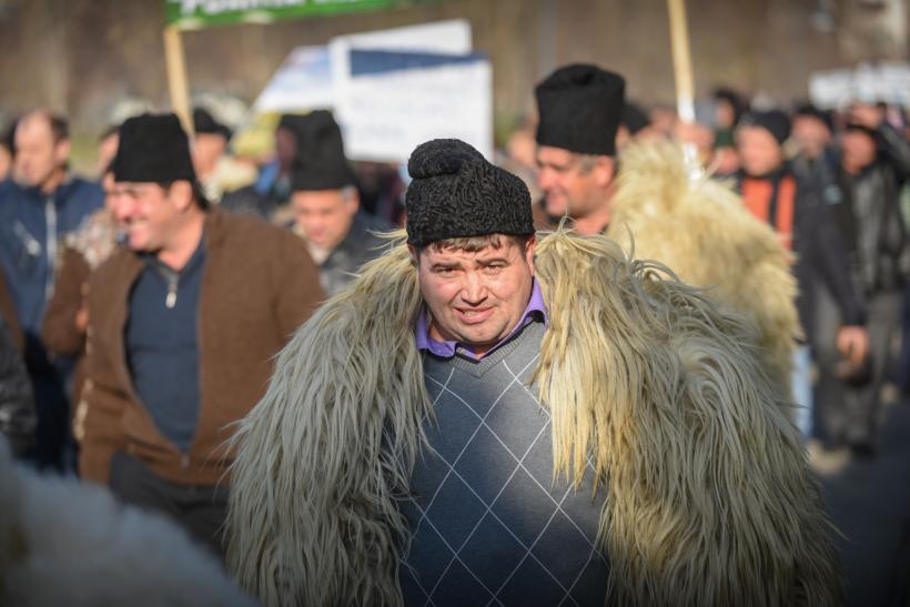 Ciobanii amenință că vin din nou la București. Cer noi schimbări în legea vânătorii