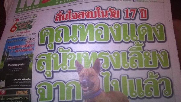 Moartea unui câine ocupă primele pagini ale cotidianelor din Thailanda