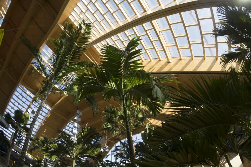 Cel mai mare SPA de relaxare din UE  18525903