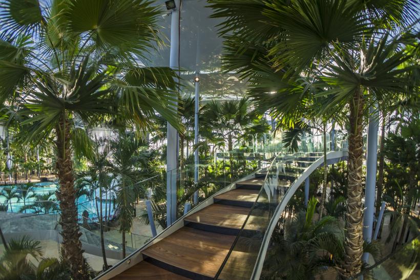 Cel mai mare SPA de relaxare din UE  18525904