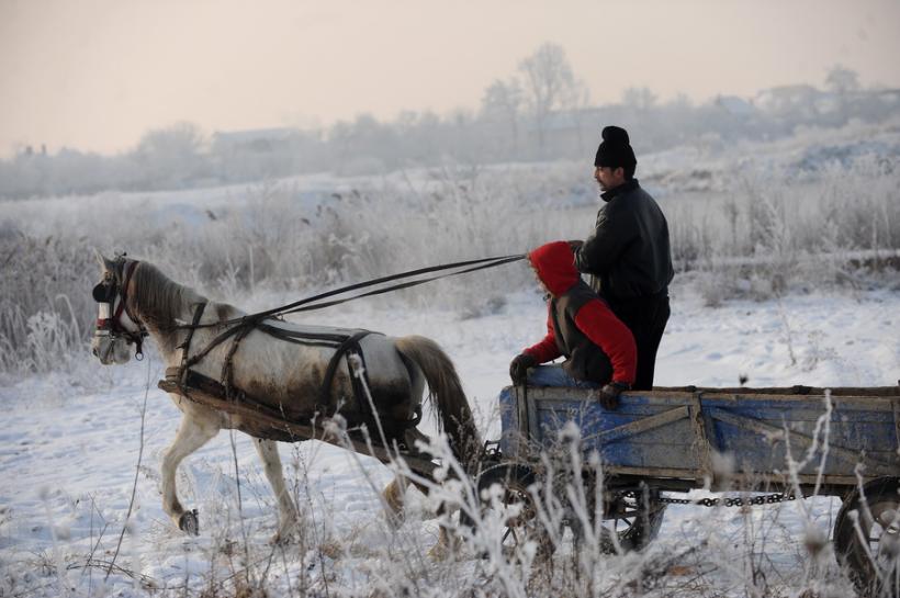 Accesul căruţelor, interzis, de luni, pe domeniul public al municipiului Suceava