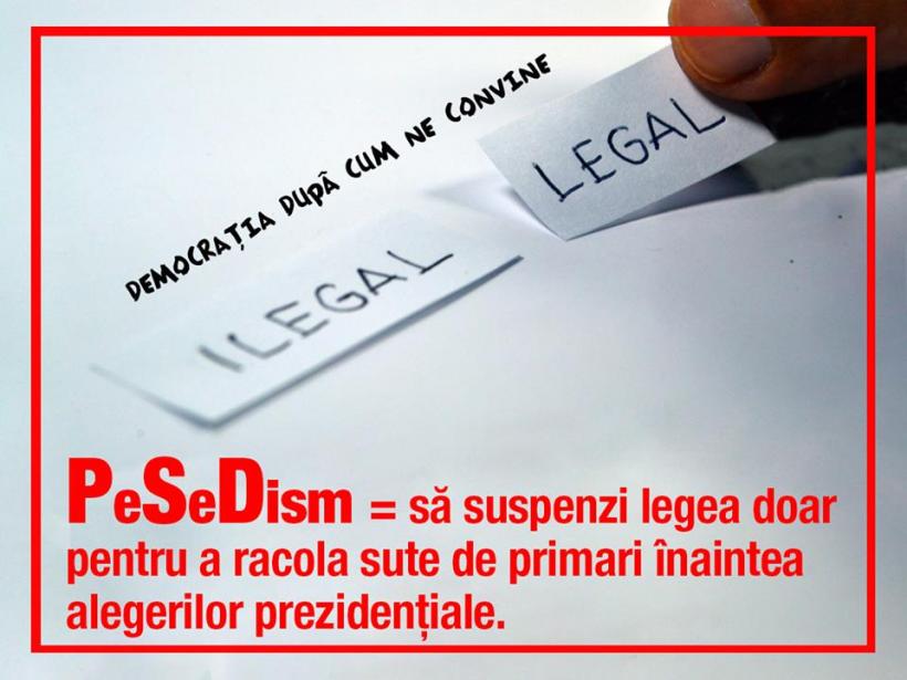 Alina Gorghiu: "Abuzurile sunt o armă specifică PeSeDismului" 18527390