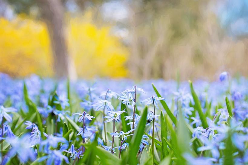 METEO. Cum va fi VREMEA in februarie, martie si aprilie