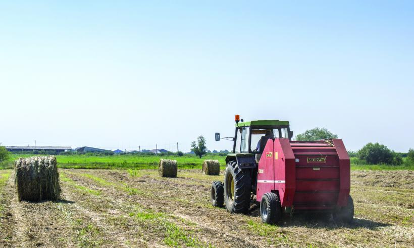 Se pregăteşte un desant turcesc în agricultura românească