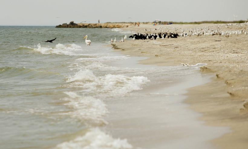 La Vadu şi Corbu se vor înfiinţa plaje turistice