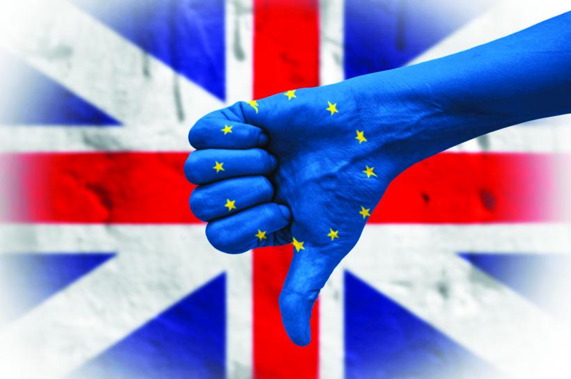 Marile companii britanice fac front comun pro UE