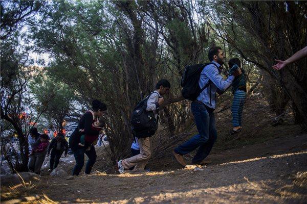 Poliţia elenă a început să îi evacueze pe imigranţii de la graniţa cu Macedonia 