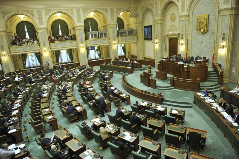 Senatorii PSD vor vota în favoarea legii dării în plată 