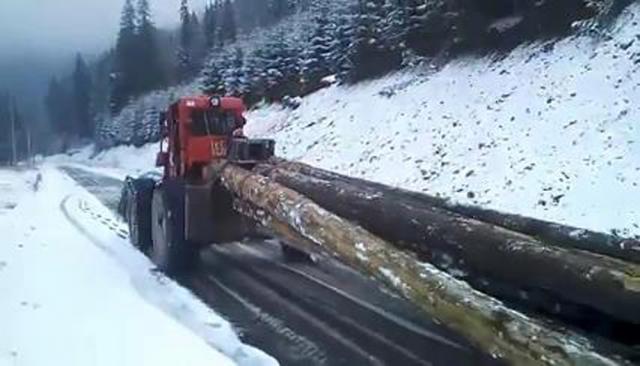 VIDEO. Cum distrug hoţii de lemne Transrarăul, unul dintre cele mai frumoase drumuri montane din România!