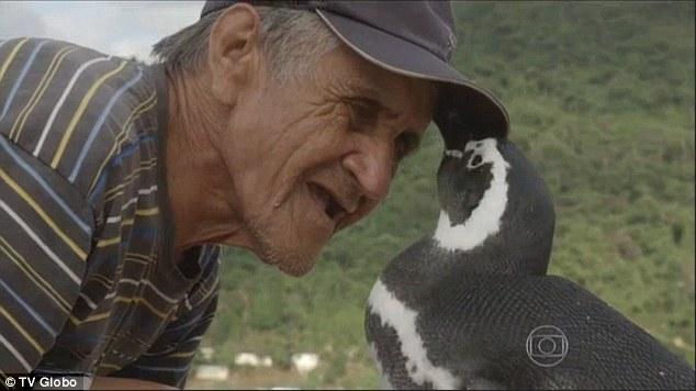 VIDEO - Prietenie neaşteptată între un pinguin si un bătrân brazilian