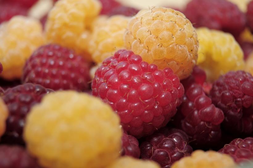 Cele mai bune fructe pentru sănătatea creierului