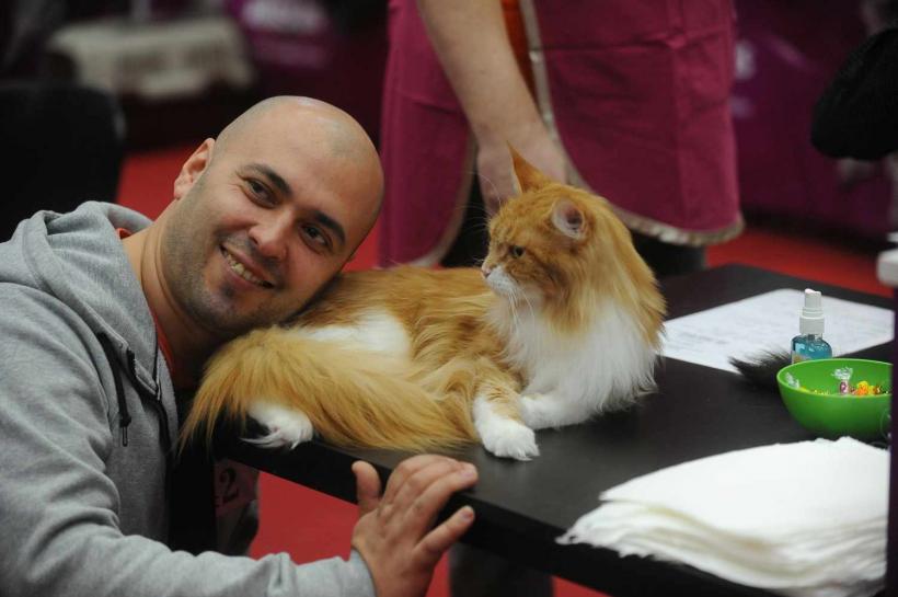 GALERIE FOTO. SofistiCat de primăvară, la Romexpo 18532078