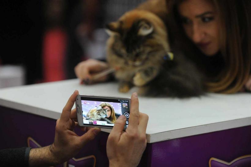 GALERIE FOTO. SofistiCat de primăvară, la Romexpo 18532079