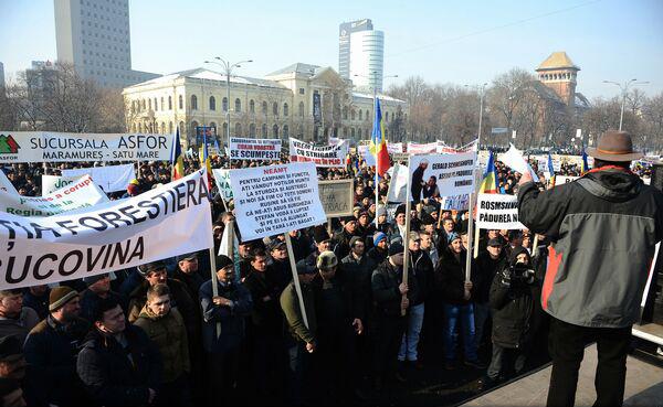 Peste 50 de lucrători din sectorul silvic protestează în faţa sediului Guvernului