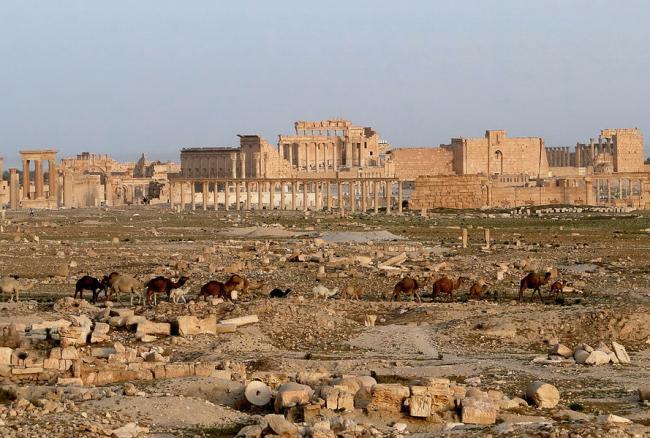 Forţele siriene au intrat în oraşul Al-Qaryatain controlat de Stat Islamic, lângă Palmira 