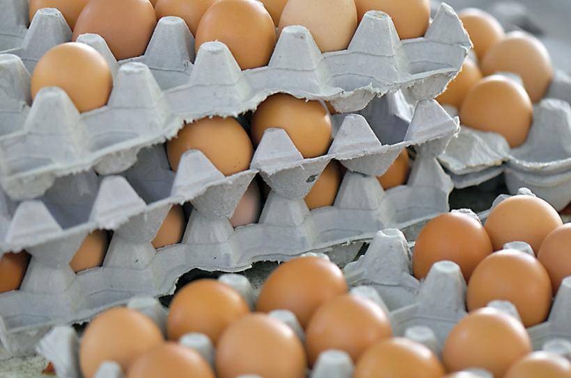 În prag de Paște apare scandalul ouălor de import