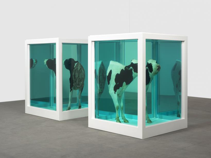 Creaţiile lui Damien Hirst emanau un gaze cancerigene în timpul unei expoziţii de la Londra 