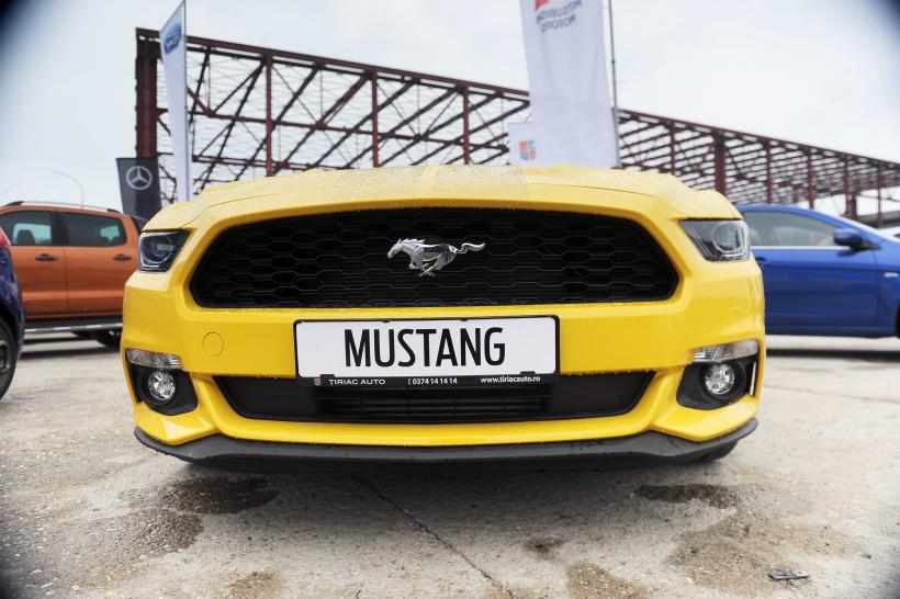 FOTO Salon auto-moto cu cascadorii pe două roţi 18535309