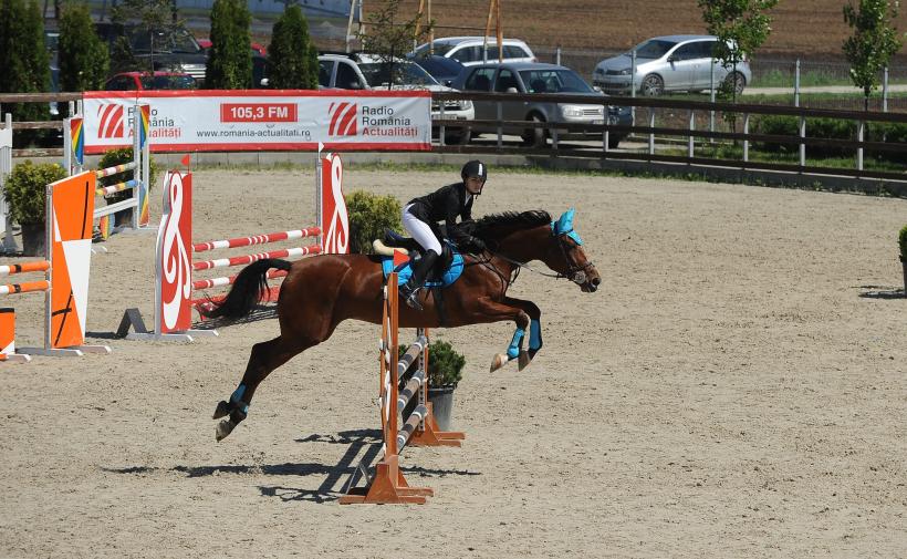 Cei mai buni cai din România s-au întrecut la Circuitul Salonul Calului 2016 18535429