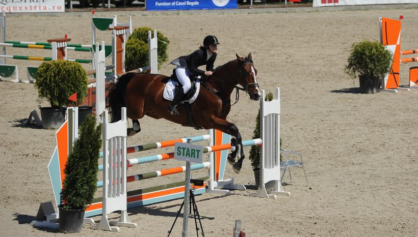 Cei mai buni cai din România s-au întrecut la Circuitul Salonul Calului 2016 18535430