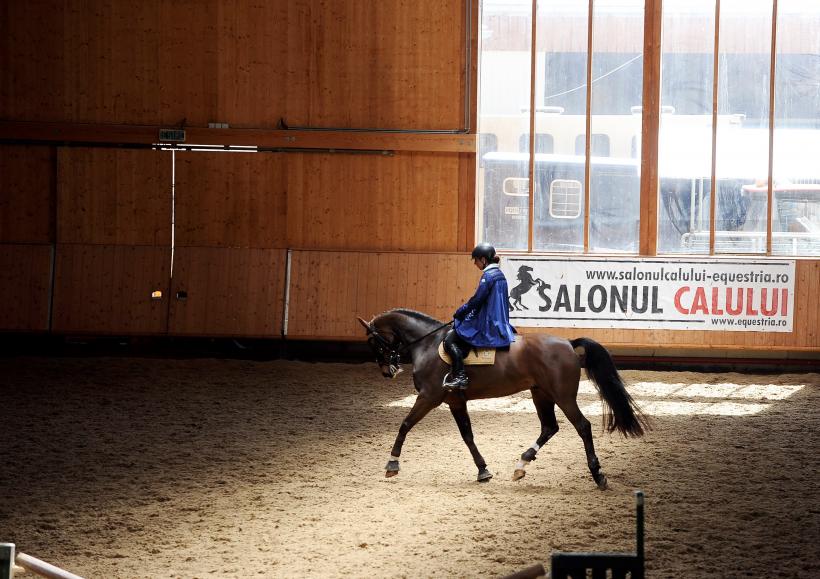 Cei mai buni cai din România s-au întrecut la Circuitul Salonul Calului 2016 18535431
