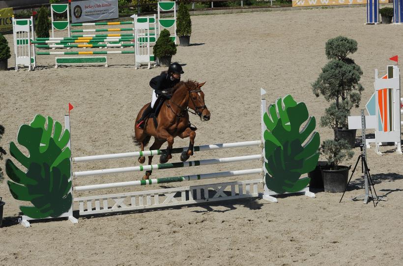 Cei mai buni cai din România s-au întrecut la Circuitul Salonul Calului 2016 18535433