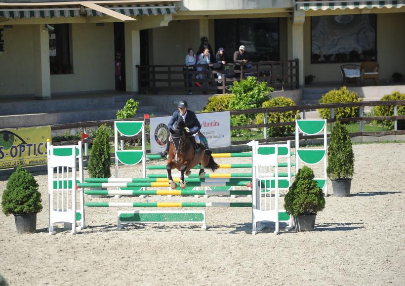 Cei mai buni cai din România s-au întrecut la Circuitul Salonul Calului 2016 18535434