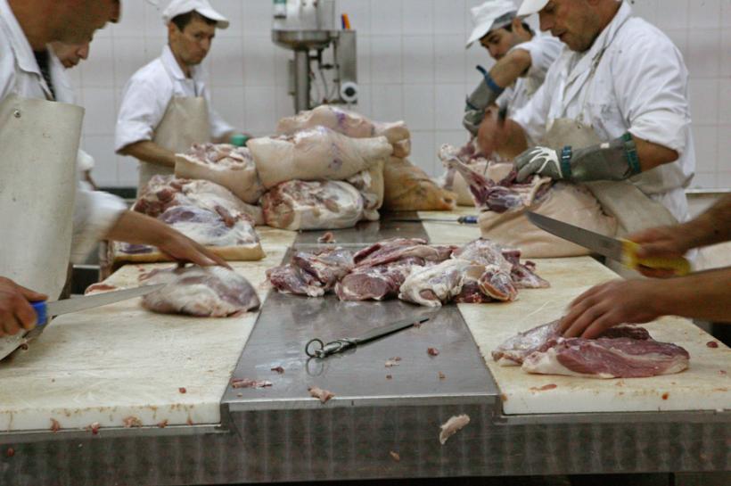 Botoşani: Comercializarea porcilor, interzisă, din cauza unui focar de gripă porcină în Ucraina 