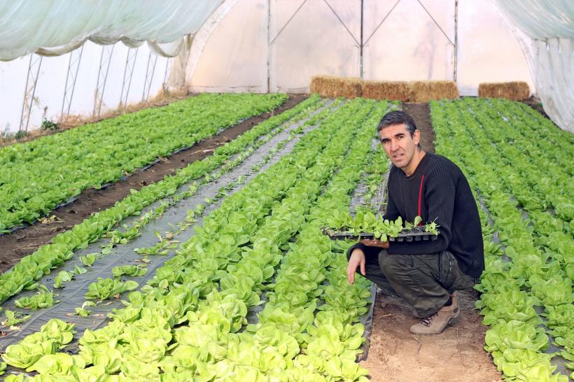 Statul român vrea să stimuleze tinerii să devină agricultori