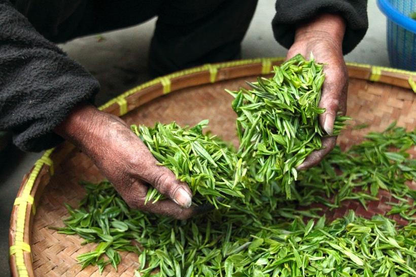 Super-rețeta de ceai cu care slăbești cinci kilograme