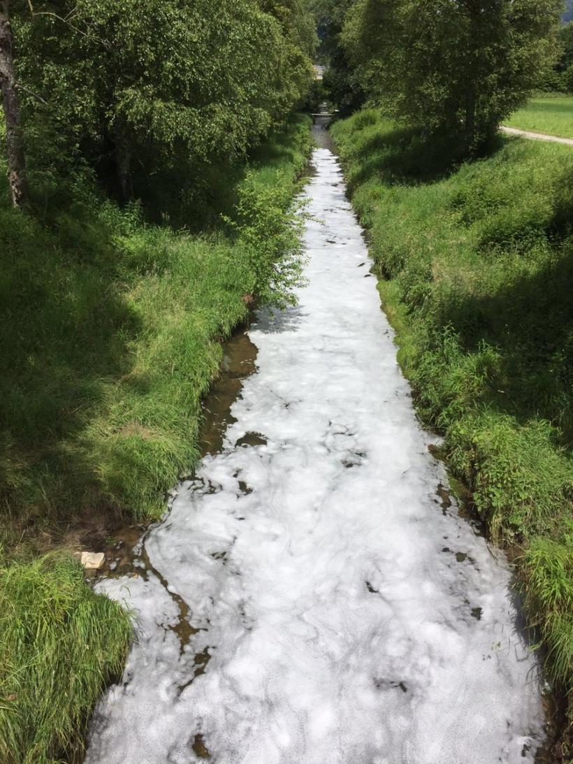 Un pârâu din Elveţia a fost poluat cu...bere 