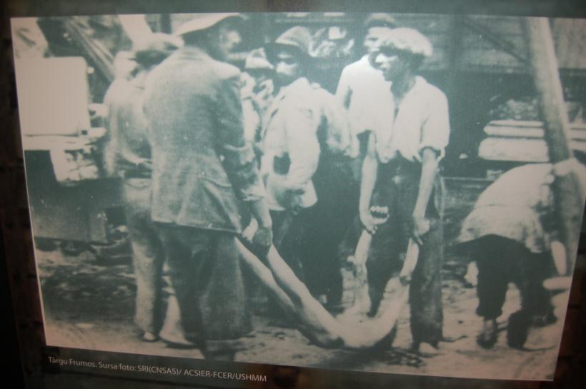 Pogromul de la Iasi, 75 de ani. “Ma credeau spion, ca aveam servieta, am fost batut cu patul armei si dus apoi cu trenul mortii”! GALERIE FOTO 18541626
